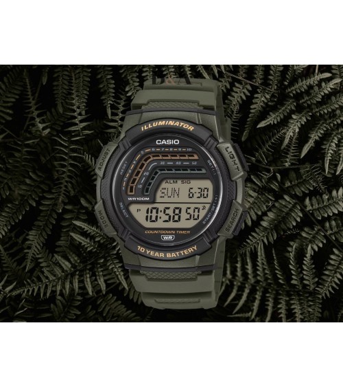 Reloj Casio WS-1800-3AVEF