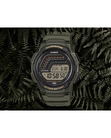 Reloj Casio WS-1800-3AVEF