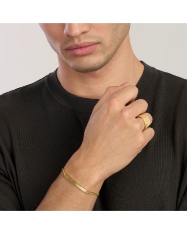 Anillo de Sello Chevalier de Plata Bañado en Oro Mabina | Joyería Onix Lugo